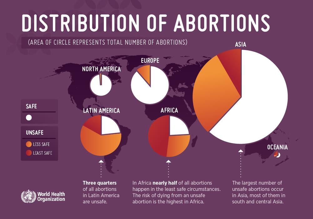 Scientific Controversy Paper About Abortion – WFS Portfolio Fatima Elashry